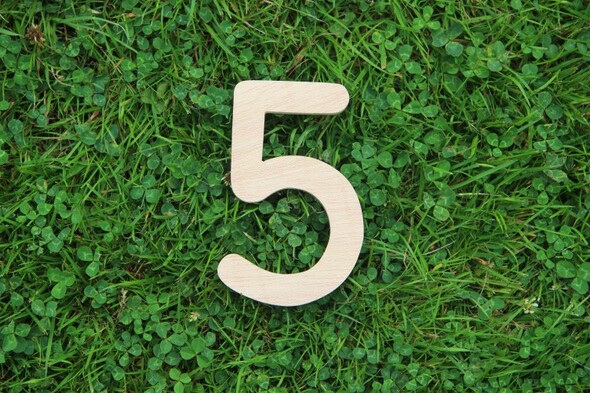 The 5 at 5: St Patrick's Day - Vimarsana News