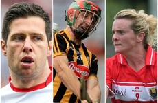 Six more GAA icons announced to feature in Laohcra Gael series