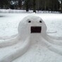 Forget Paul the octopus: meet Sneachta-pus