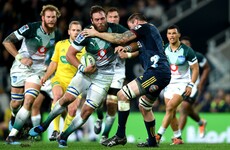Munster confirm signing of South African forward Jenkins on one-year deal