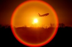 Aer Lingus: operating losses down 83.6 per cent to €4.4m