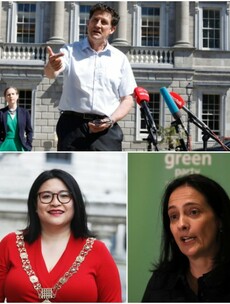 Not so rosy in the garden: Why are the Greens arguing amongst themselves again and why does it matter?