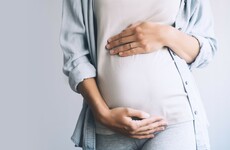 Maternity leave for councillors to be examined by all-female group