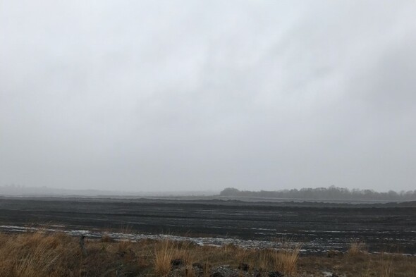 Burning Question: what does a peat-free future hold for the Midlands? - Vimarsana News