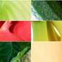 Quiz: Can you name these fruits and vegetables?