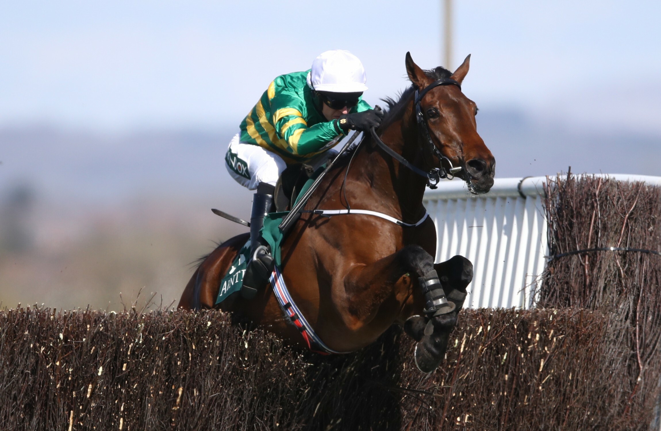 Fakir D'oudairies wins Marsh Chase emphatically for JP McManus and Joseph O'Brien - Vimarsana News