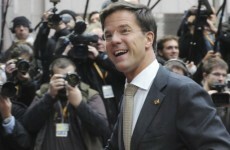 Dutch government votes to support Irish bailout