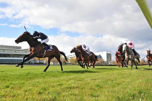 Bolshoi Ballet second-favourite for Epsom Derby after authoritative Ballysax success - Vimarsana News