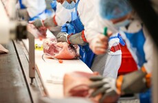 Meat plants continue to need workers from abroad as Irish supply 'not currently available'