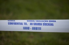 Three-year-old girl dies after being struck by bus in Tipperary housing estate