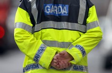 Eight people, including a teenager, arrested by gardaí investigating the murder of a man in Kildare