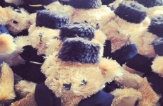 Belarus generals fired after teddy bear invasion