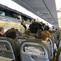 Blocking middle seats on planes reduces virus risk by half, study suggests