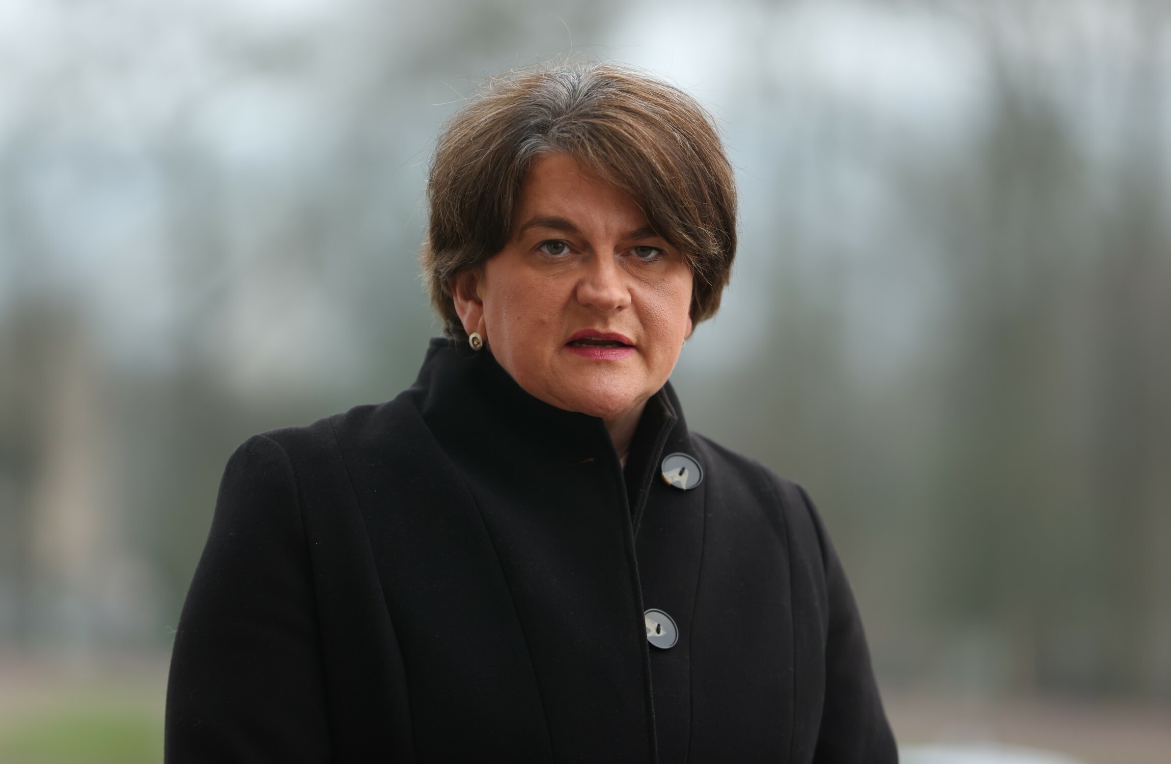 DUP not boycotting north-south meetings in protest over NI Protocol, Foster says - Vimarsana News
