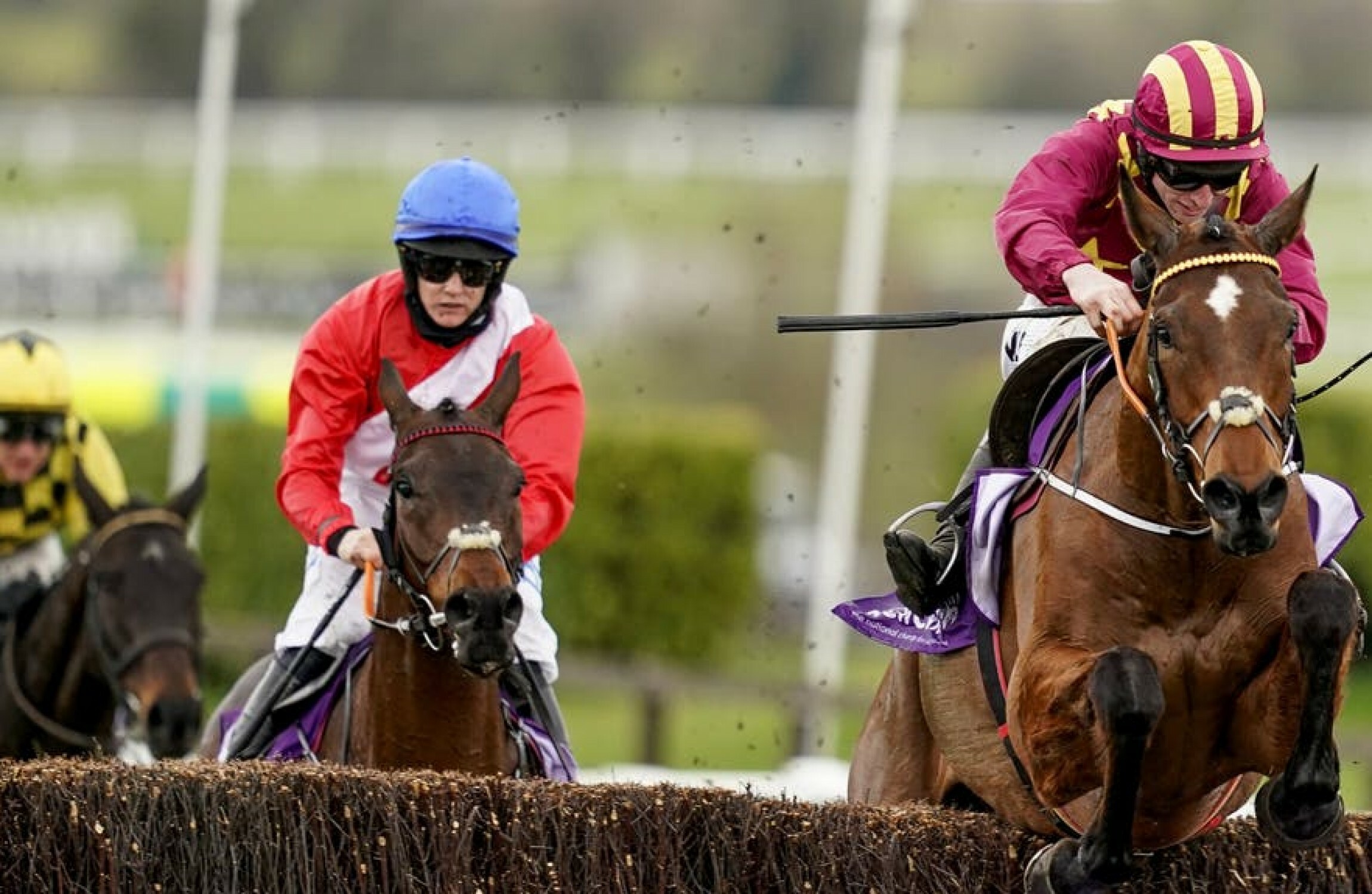 Cheltenham victor Minella Indo tops 11 in Punchestown mix - Vimarsana News