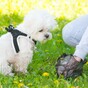 Dog poo DNA testing to be launched in Leitrim to find owners who don't clean up