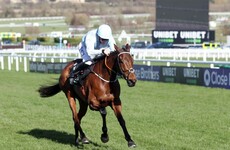 Honeysuckle heads Punchestown’s Champion Hurdle field