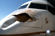 What happens when an aeroplane hits a bird? This.