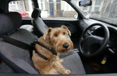 Motorists facing more penalty points for seatbelt offences