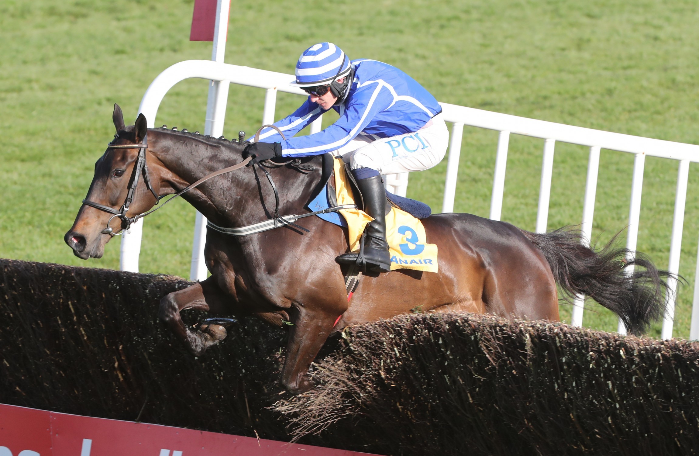 Dream return for Klassical with Stayers success and Energumene impresses with easy Ryanair triumph - Vimarsana News