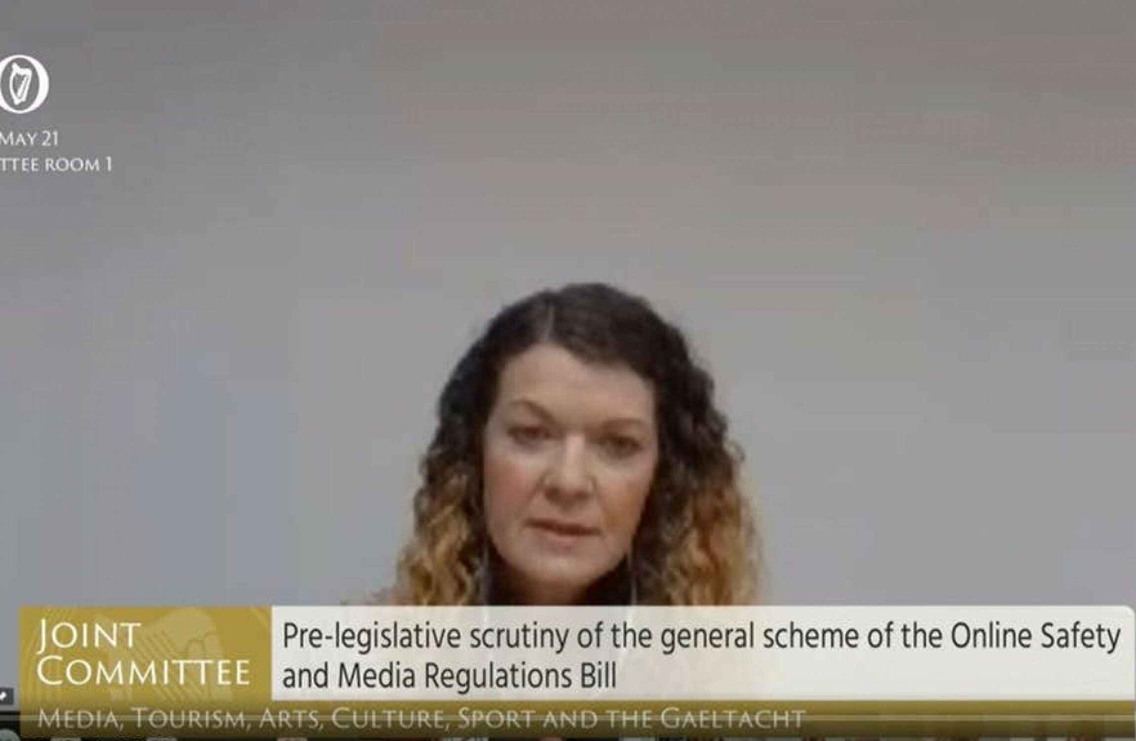 New media regulator needs powers to order 'swift takedown' of harmful content - Vimarsana News