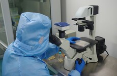 Debunked: No, Covid-19 vaccines didn't 'skip' or 'fail' animal trials
