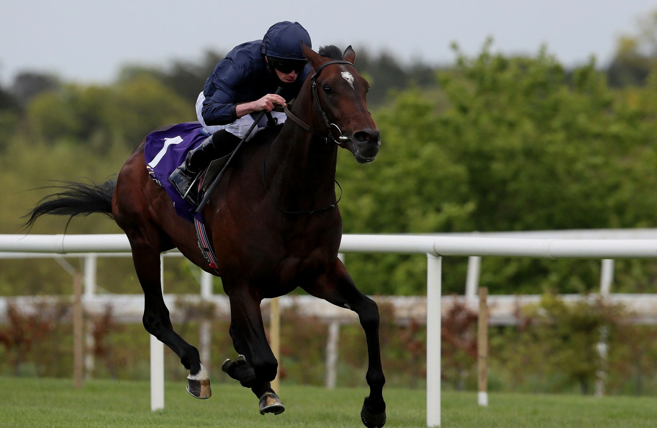 Bolshoi Ballet powers to Derrinstown Stud Derby Trial demolition - Vimarsana News
