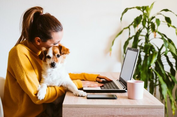 'If everyone has to tiptoe around, it's not working': How to plan the perfect work-from-home space in your new house - Vimarsana News