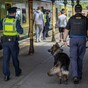 'Like clockwork every year': Dublin's seaside towns once again hit by spate of anti-social behaviour
