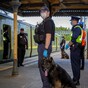 Gardaí deploy undercover units on Dart line to stamp out spate of anti-social behaviour