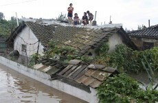 North Korea requests UN aid over food shortage