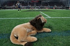16,500 fans to be allowed for Lions opener against Japan in Murrayfield