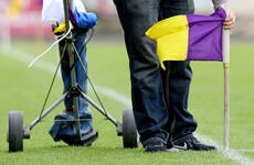 Two Wexford hurlers test positive for Covid-19 ahead of Kilkenny clash
