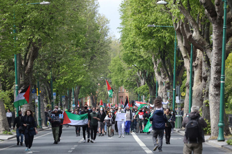 Palestinian protestors against the Israeli attacks on Gaza, demonstrate near the Israeli Embassy in Dublin on Sat.