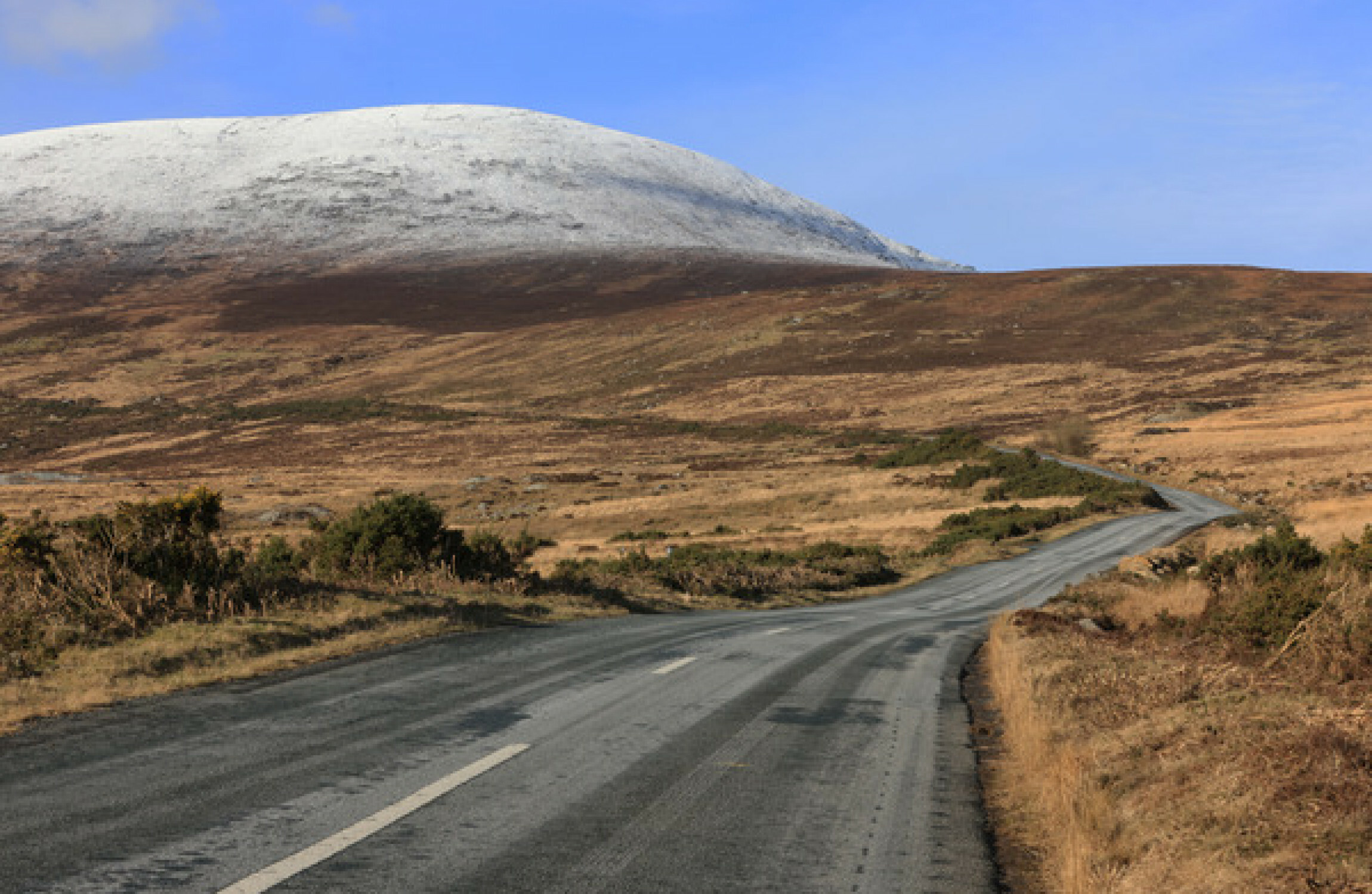 Parks service to rewet Wicklow Mountain bogs to increase Dublin water supply levels - Vimarsana News