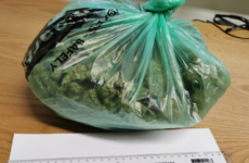 Gardaí in Lucan seize €60,000 worth of cannabis after following man in taxi