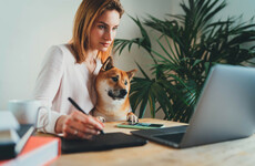 Opinion: Staff are worried that employers will just insist on an immediate return to the office