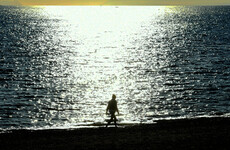 Your evening longread: How Marbella became a 'United Nations of Crime'
