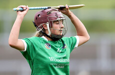Kilkenny come good late on to deny lightning Limerick