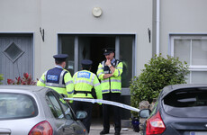 Baby girl killed in dog attack at her Waterford home due to be laid to rest today