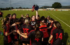 Down beat Antrim to Division 2 title, Wexford see off Armagh in Division 3 decider