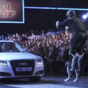 Millions watch as thrillseeker knocked unconscious on live German TV