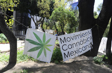Mexico top court decriminalises recreational marijuana use