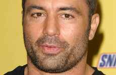 Your evening longread: The fans who think Joe Rogan is an underground star