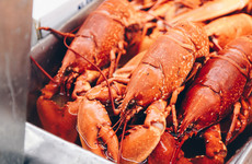 Poll: Should the practice of boiling lobsters alive be banned in Ireland?