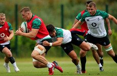 The Ireland team named today can form the basis of the side for the next decade