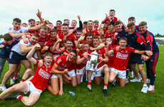 Cork end All-Ireland hurling title wait as goals key in U20 final success against Dublin