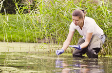 Surge in applications for environment, education, and journalism courses