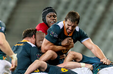 Lions suffer first loss as Erasmus' South Africa serve reminder of their class