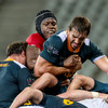 Lions suffer first loss as Erasmus' South Africa serve reminder of their class